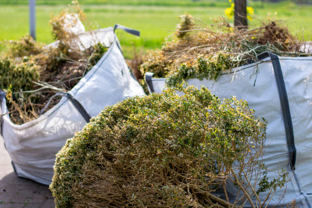 Best Electronics Removal Services  in St Bernard, OH